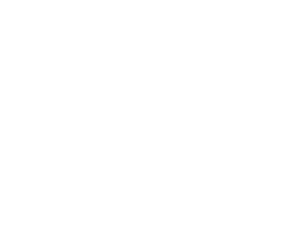 Helix Sleep logo